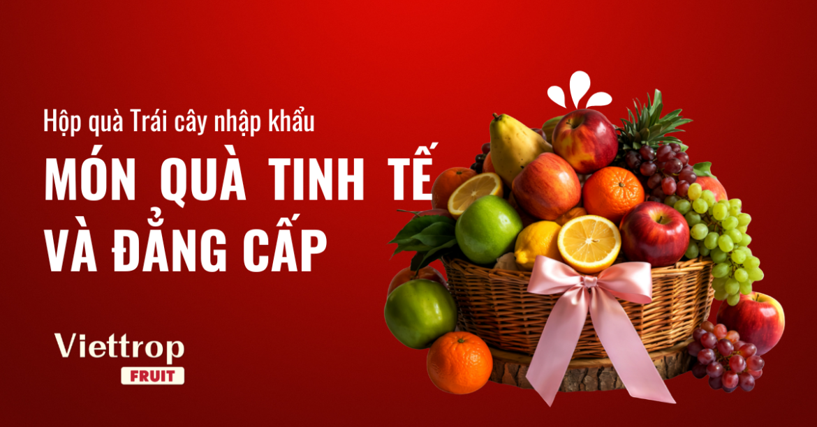 hop-qua-trai-cay-nhap-khau-tinh-te